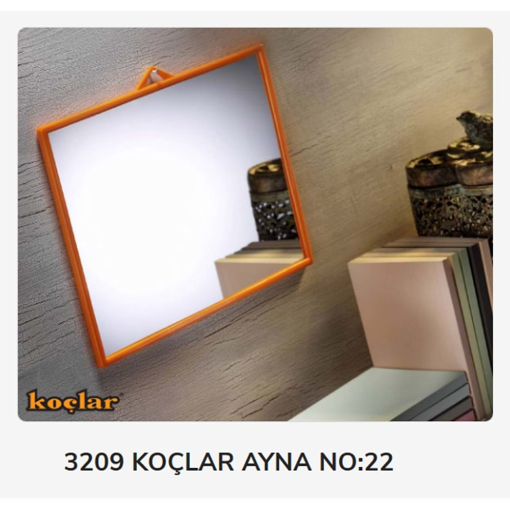 3209 KOÇLAR AYNA NO:22