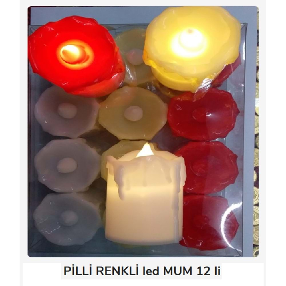 23 Real Pilli Renkli Mum