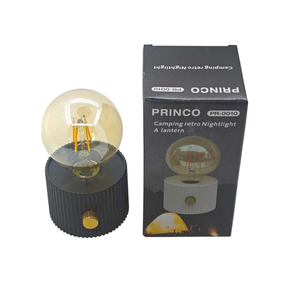 PR-0010 Princo USB Type-C Şarjlı 3W Led Abajur