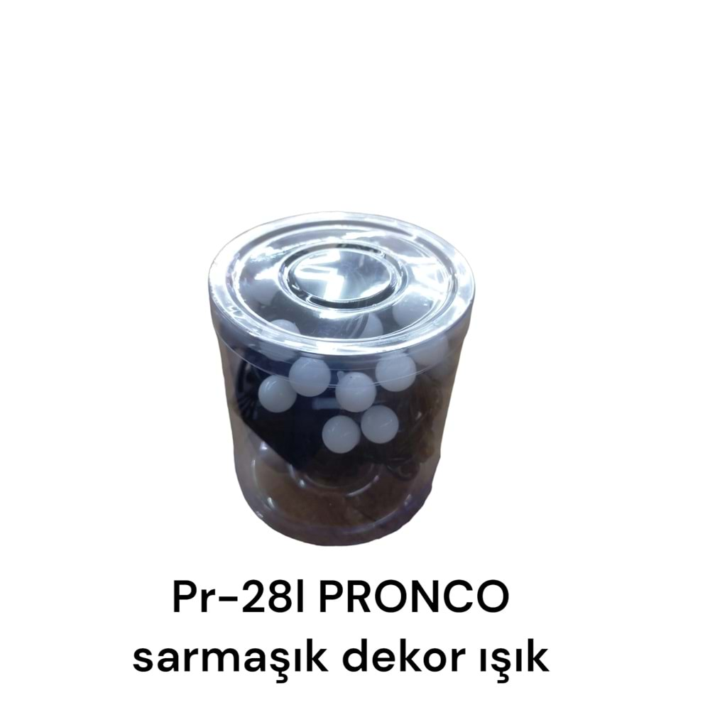 Pr-28L Prınco Sarmaşık Dekor Işık