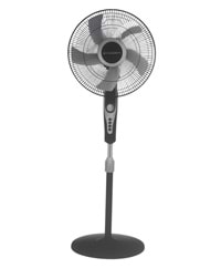 55039 Essenti Vento 16