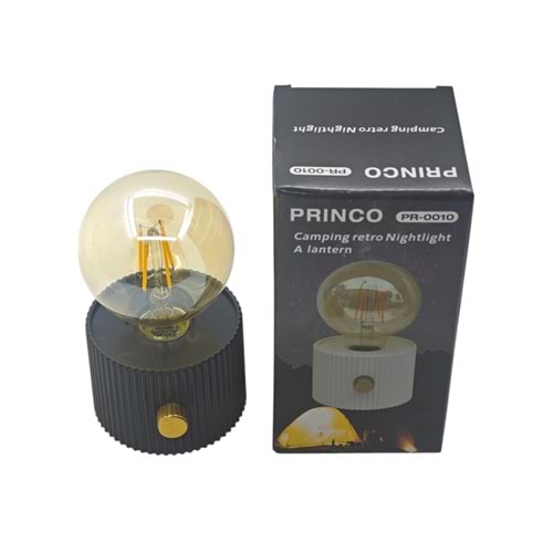 PR-0010 Princo USB Type-C Şarjlı 3W Led Abajur