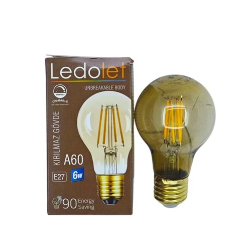 A60 Ledolet E27-6W Flament Led Bulb A60 Ampul