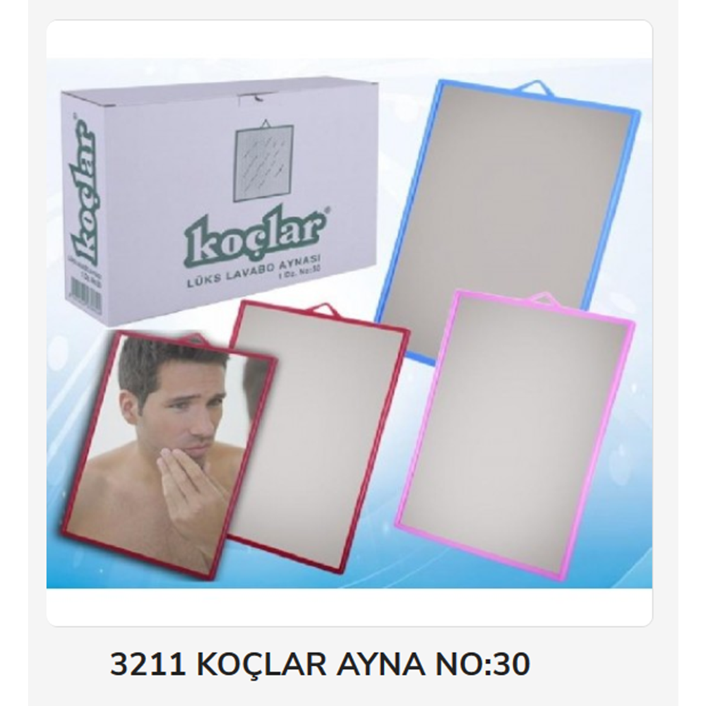 3211 Koçlar Ayna No:30
