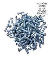 A06025 Daystar Altıköşe Civata 6*25