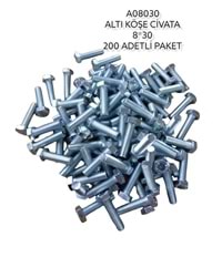 A08030 Daystar Altıköşe Civata 8*30