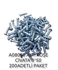 A08050 Daystar Altıköşe Civata 8*50